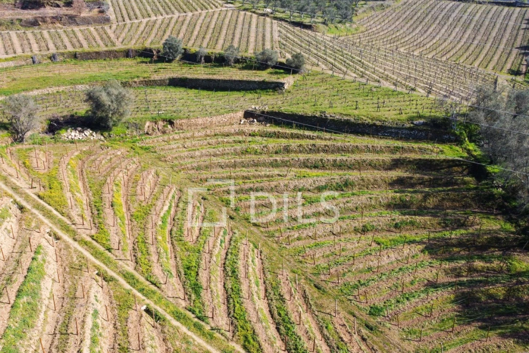 Quinta T4 para Venda em Peso da Régua e Godim Foto 13