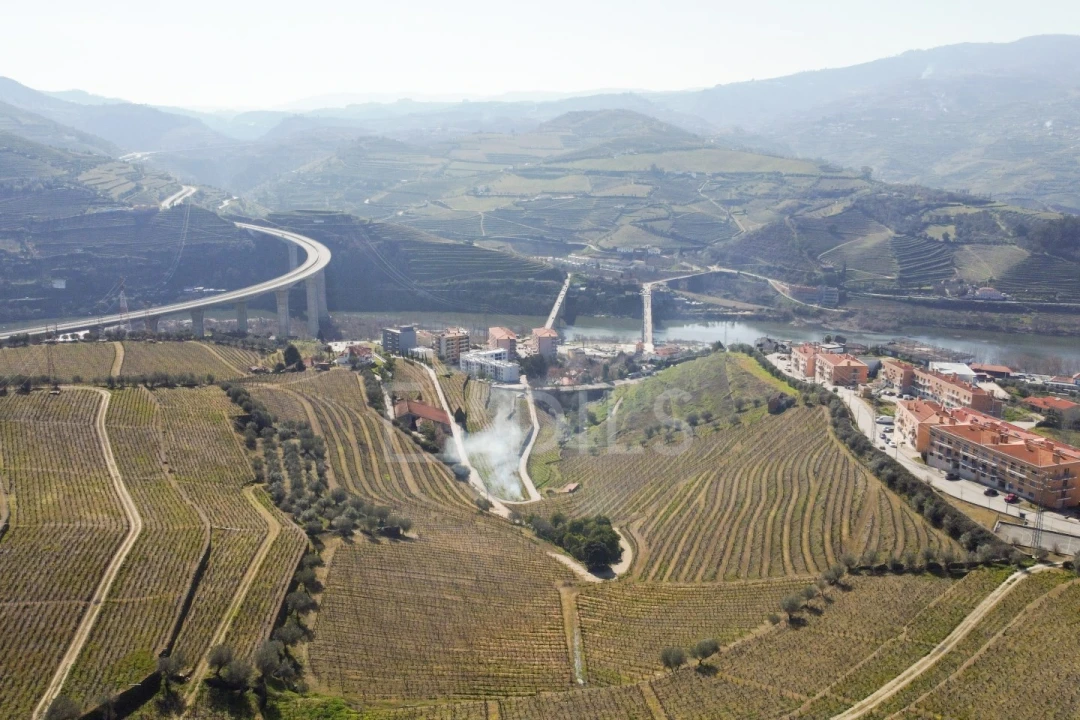 Quinta T4 para Venda em Peso da Régua e Godim Foto 15