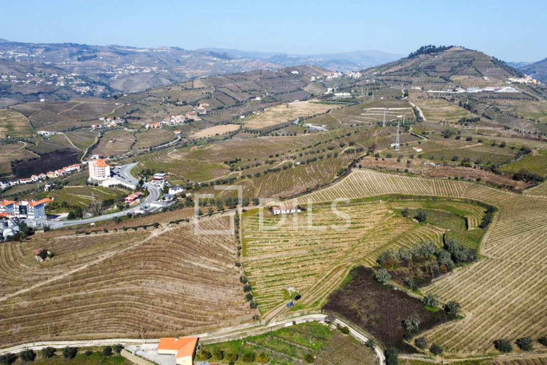 Quinta T4 para Venda em Peso da Régua e Godim Foto 19