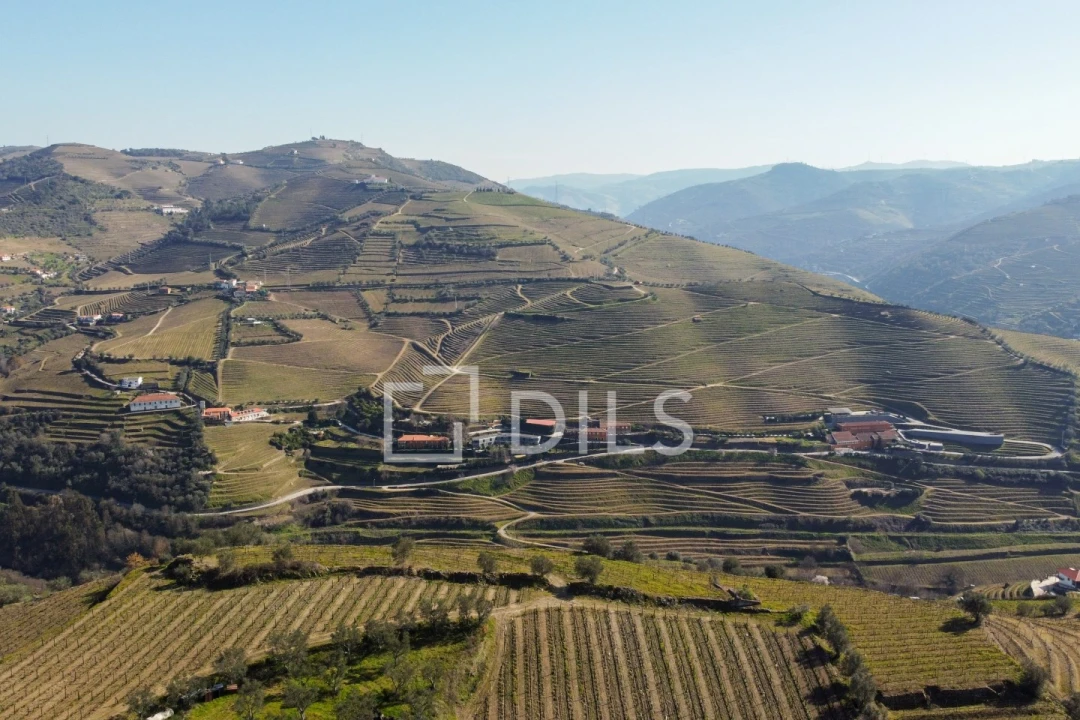 Quinta T4 para Venda em Peso da Régua e Godim Foto 23