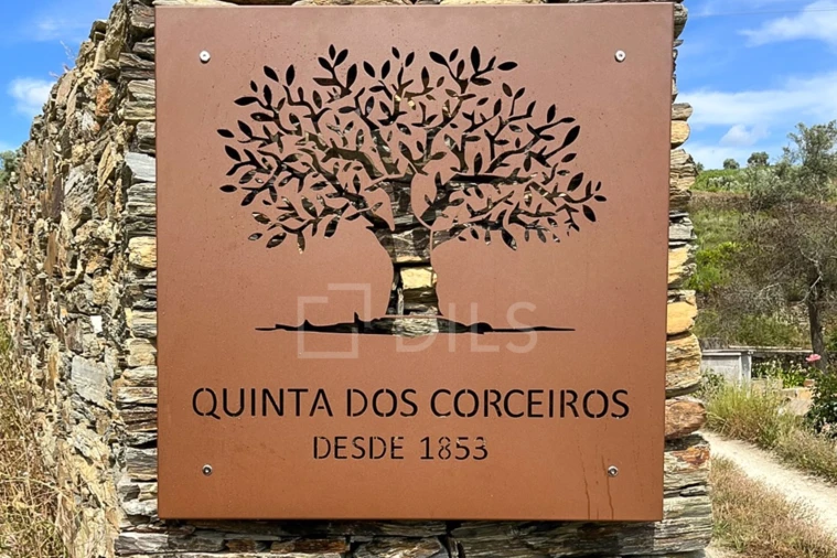 Quinta T4 para Venda em Peso da Régua e Godim Foto 2