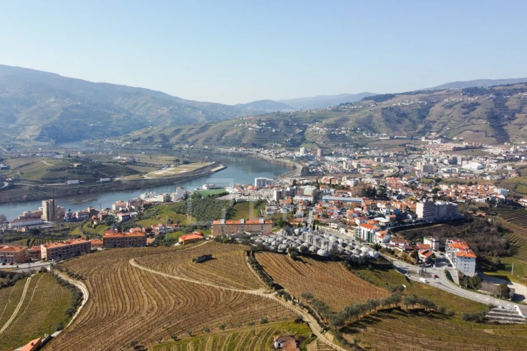 Quinta T4 para Venda em Peso da Régua e Godim Foto 6