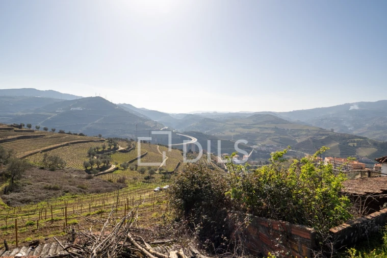 Quinta T4 para Venda em Peso da Régua e Godim Foto 7