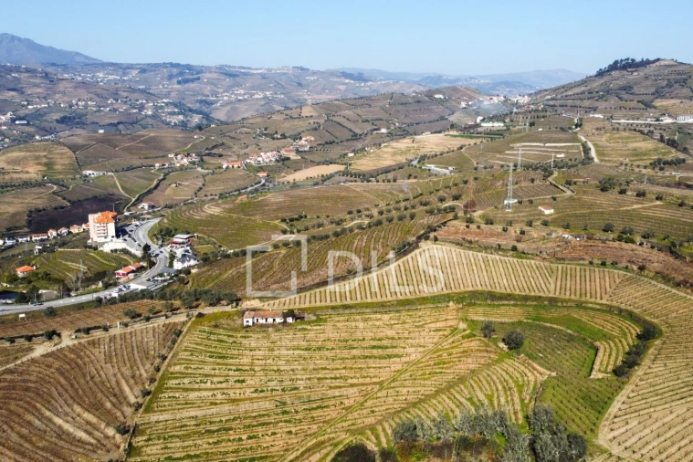 Quinta T4 para Venda em Peso da Régua e Godim Foto 9