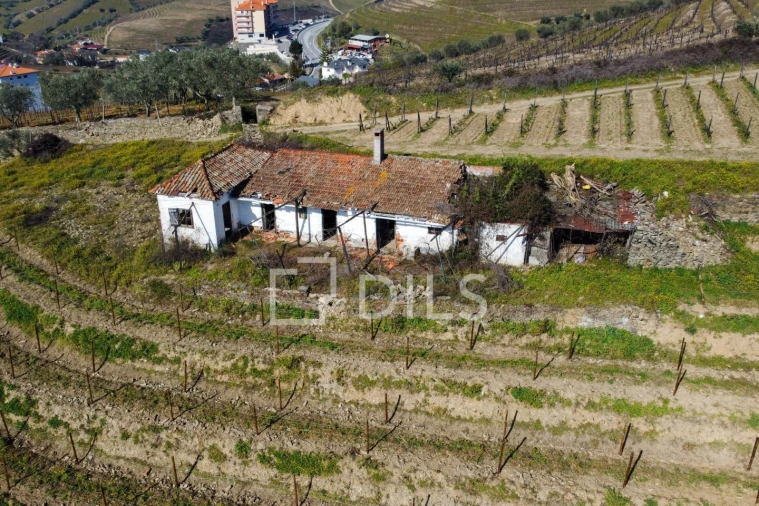 Quinta T4 para Venda em Peso da Régua e Godim Foto 11