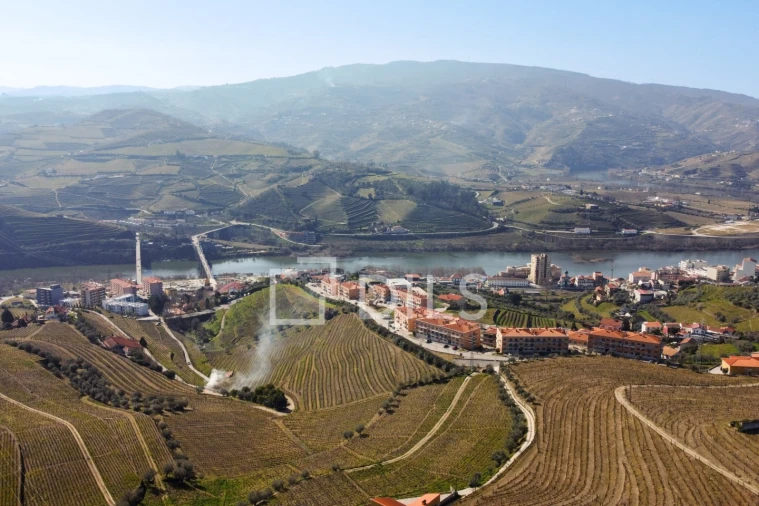 Quinta T4 para Venda em Peso da Régua e Godim Foto 14