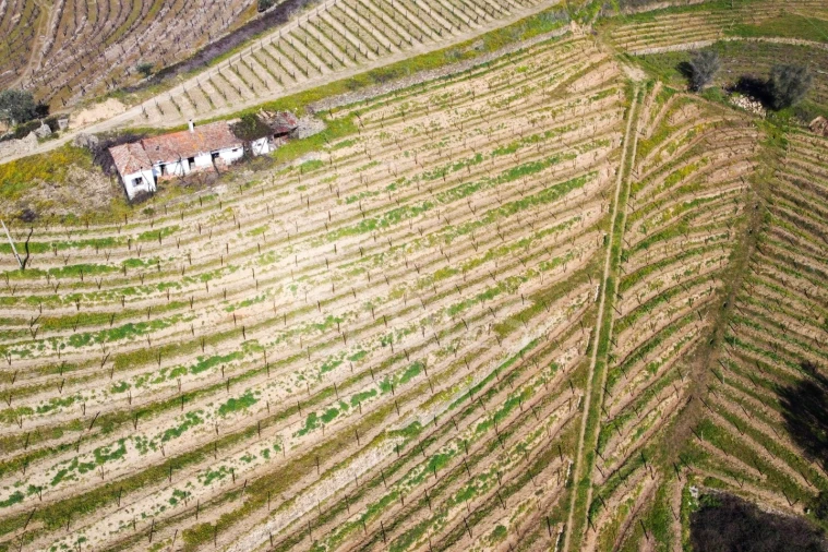 Quinta T4 para Venda em Peso da Régua e Godim Foto 16