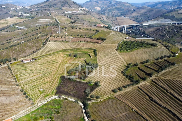 Quinta T4 para Venda em Peso da Régua e Godim Foto 18