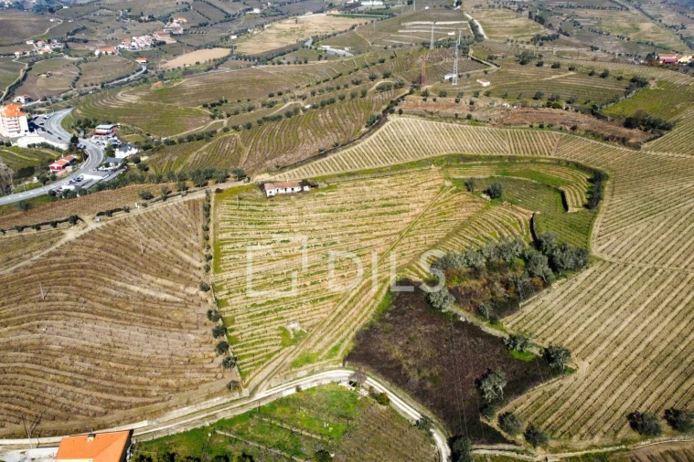 Quinta T4 para Venda em Peso da Régua e Godim Foto 20