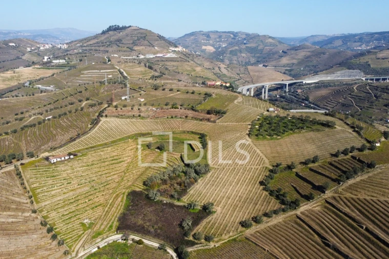 Quinta T4 para Venda em Peso da Régua e Godim Foto 22