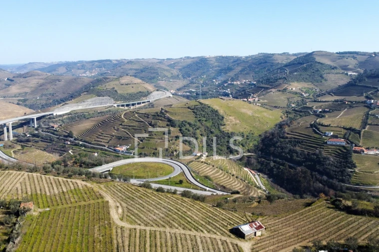 Quinta T4 para Venda em Peso da Régua e Godim Foto 24