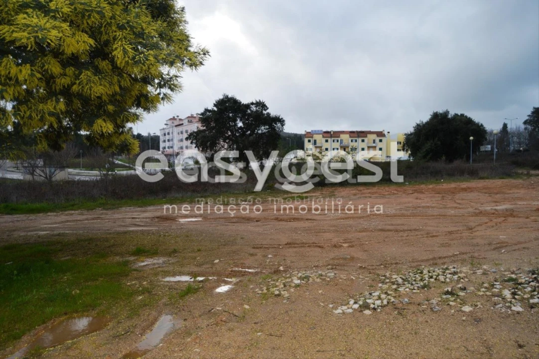 Terreno para Venda em Ferreira do Zezere Foto 2