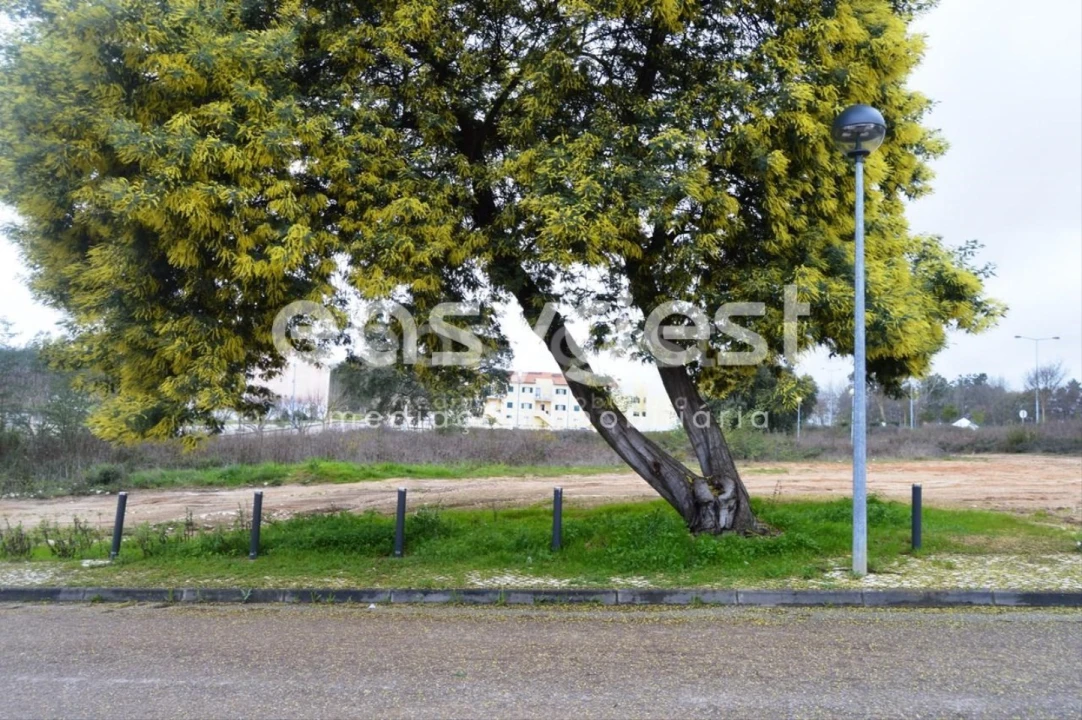 Terreno para Venda em Ferreira do Zezere Foto 3