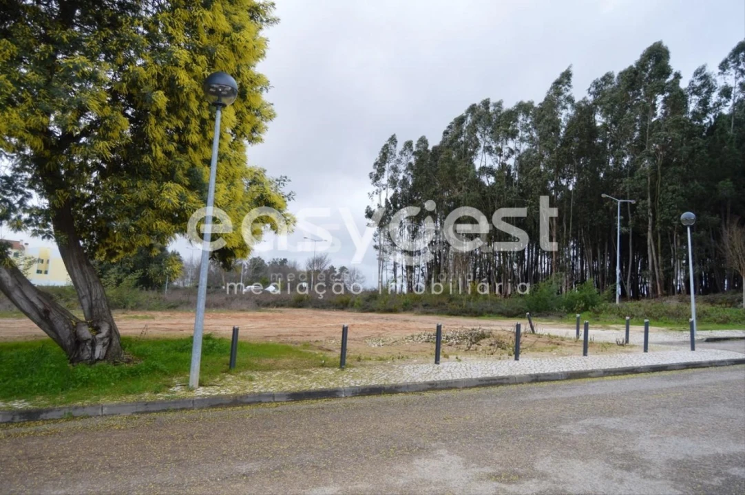 Terreno para Venda em Ferreira do Zezere Foto 4