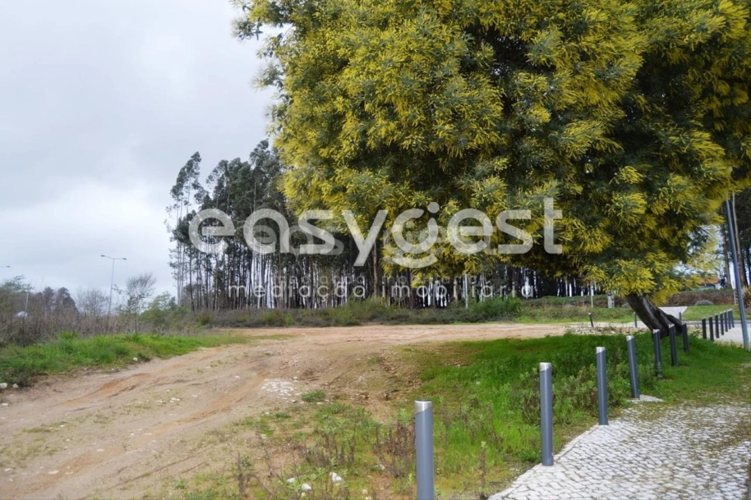 Terreno para Venda em Ferreira do Zezere Foto 5