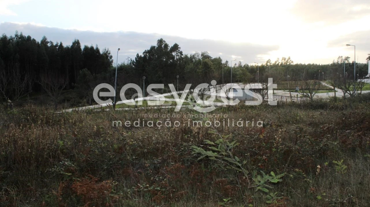 Terreno para Venda em Ferreira do Zezere Foto 9