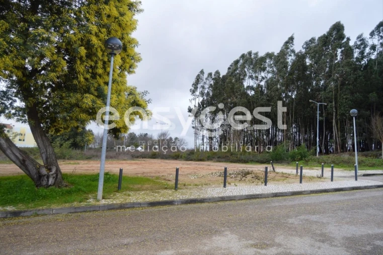Terreno para Venda em Ferreira do Zezere Foto 4