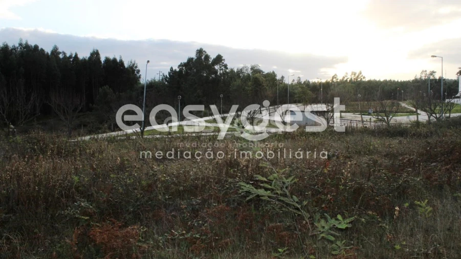 Terreno para Venda em Ferreira do Zezere Foto 9