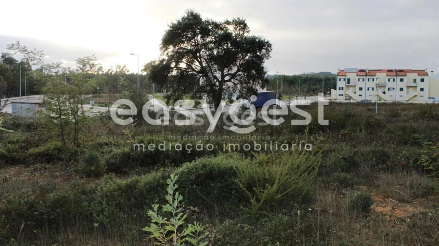 Terreno para Venda em Ferreira do Zezere Foto 10