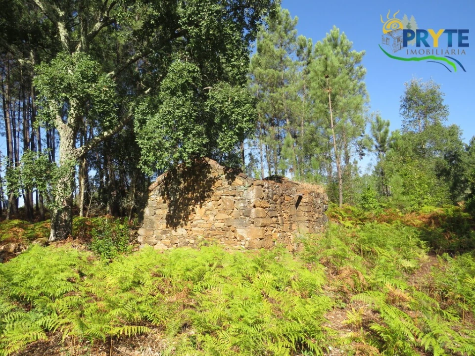 Terreno para Venda em Sertã Foto 4