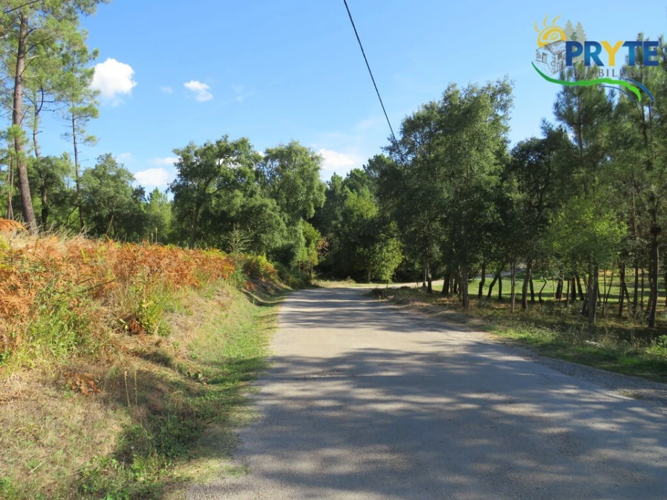 Terreno para Venda em Sertã Foto 9
