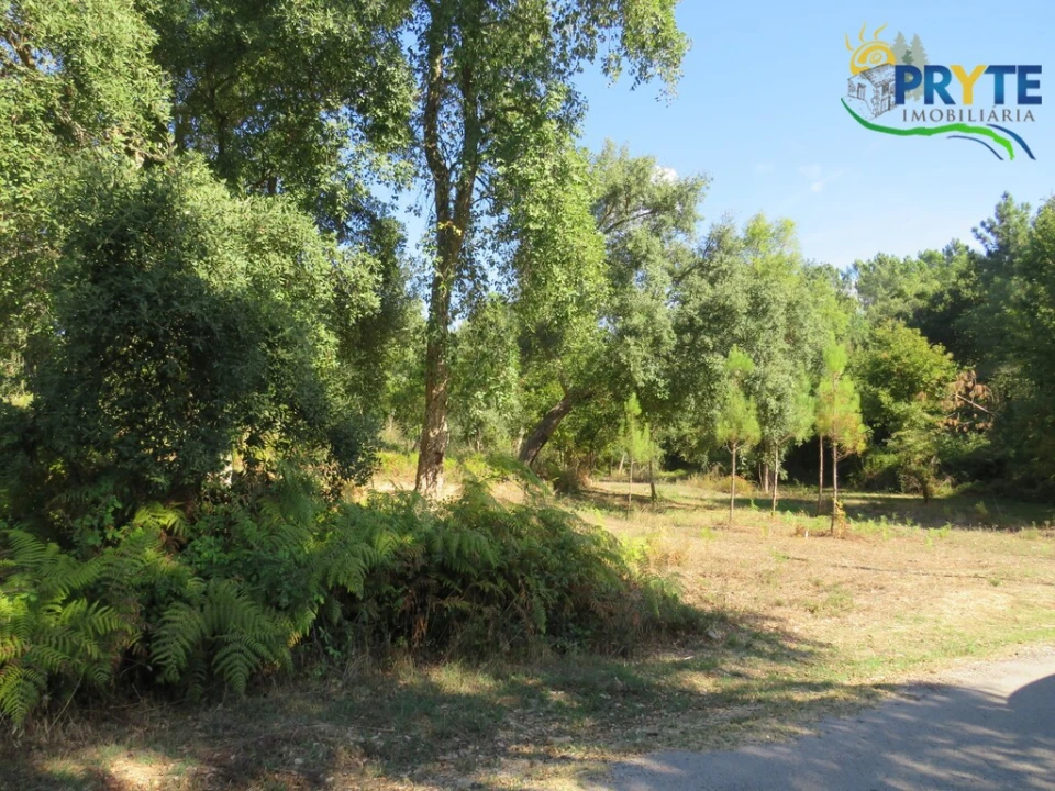 Terreno para Venda em Sertã Foto 10