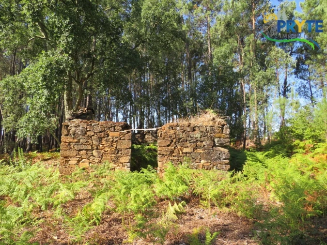 Terreno para Venda em Sertã Foto 1