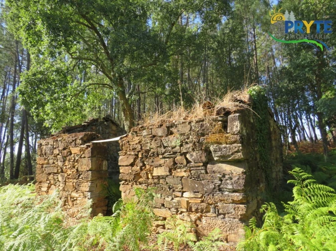 Terreno para Venda em Sertã Foto 2