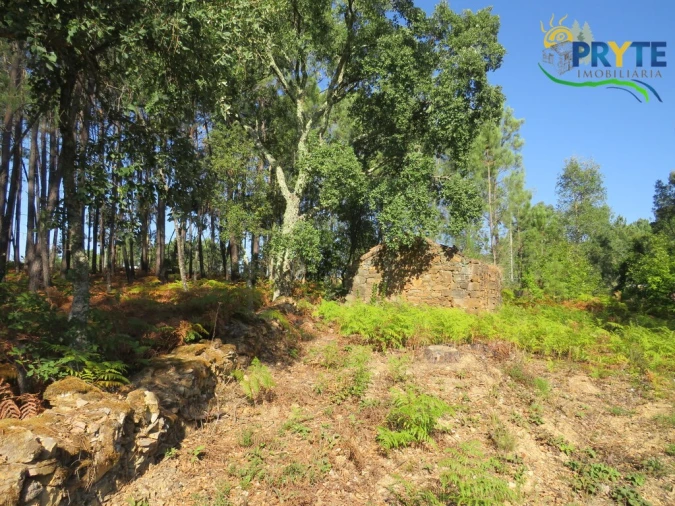 Terreno para Venda em Sertã Foto 3