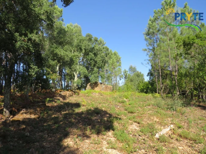 Terreno para Venda em Sertã Foto 5