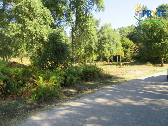 Terreno para Venda em Sertã Foto 7