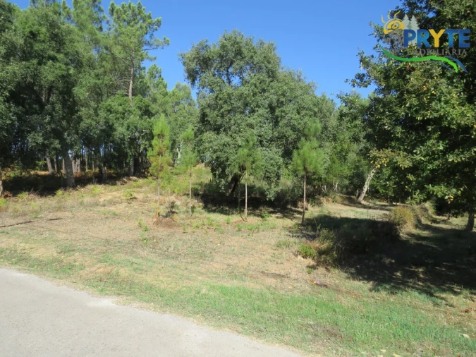 Terreno para Venda em Sertã Foto 8