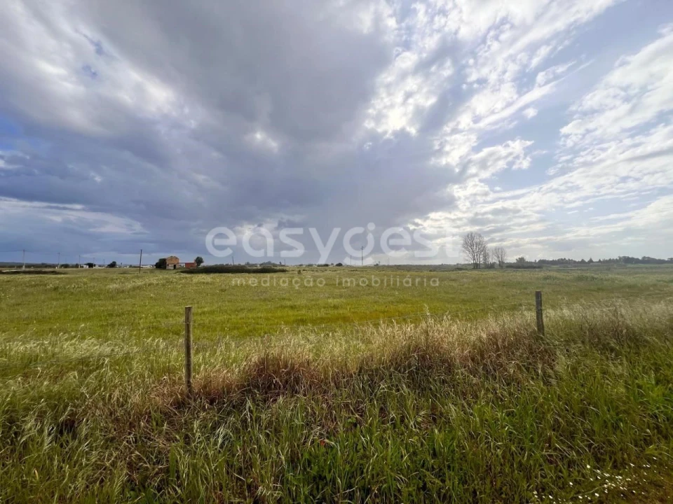 Terreno para Venda em Alpiarça Foto 2
