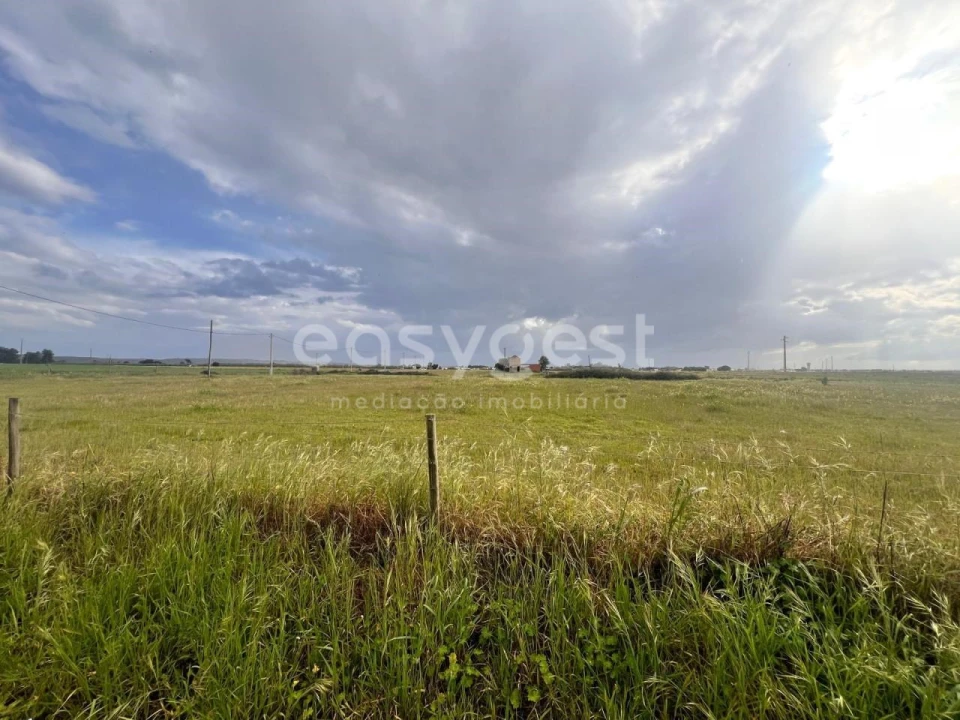 Terreno para Venda em Alpiarça Foto 5