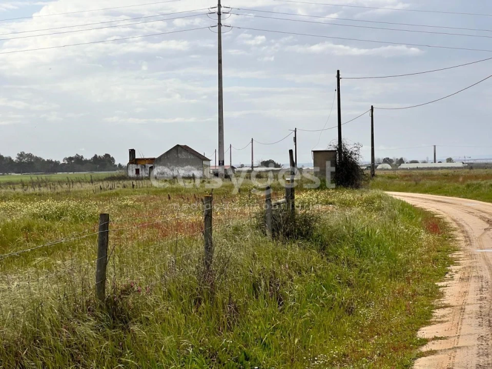 Terreno para Venda em Alpiarça Foto 8