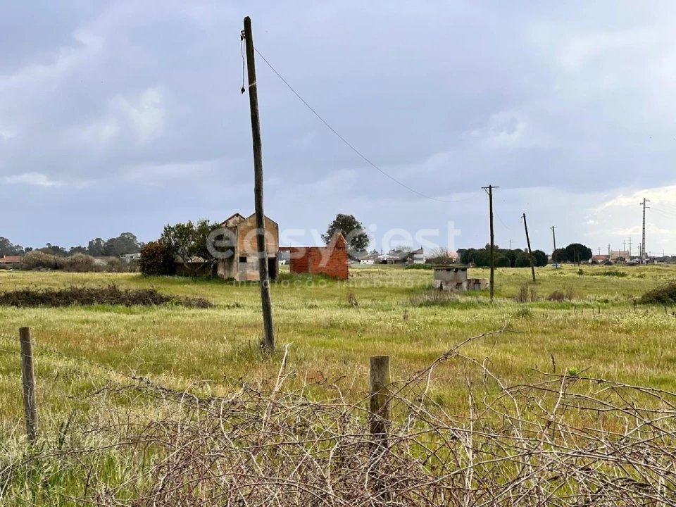 Terreno para Venda em Alpiarça Foto 10