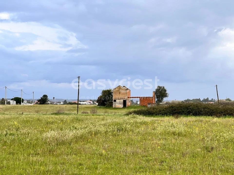 Terreno para Venda em Alpiarça Foto 11
