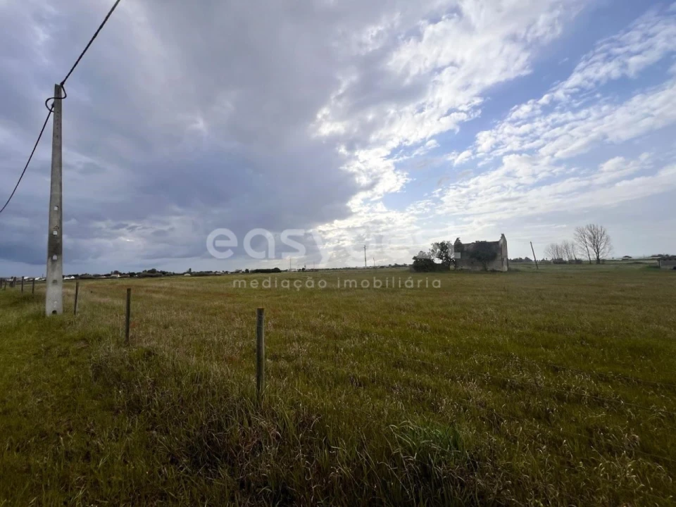 Terreno para Venda em Alpiarça Foto 12