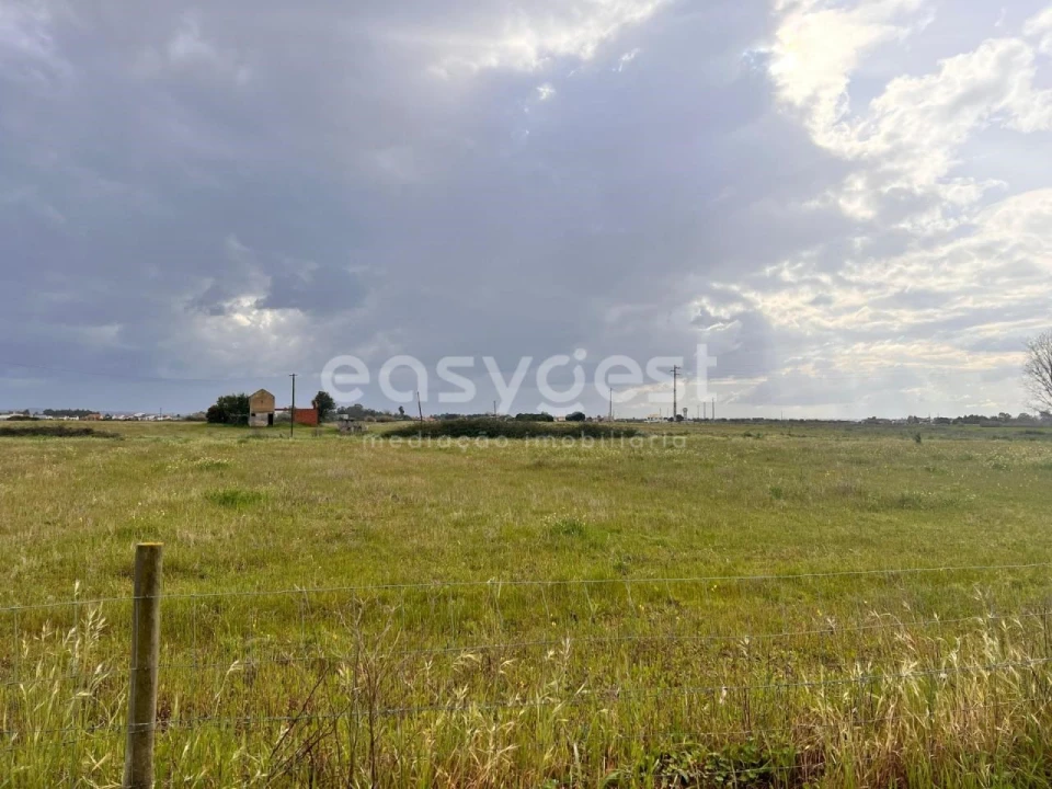 Terreno para Venda em Alpiarça Foto 15