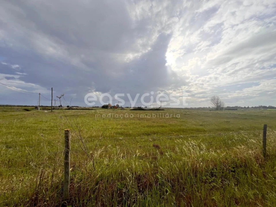 Terreno para Venda em Alpiarça Foto 17