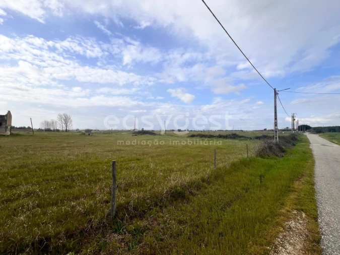 Terreno para Venda em Alpiarça