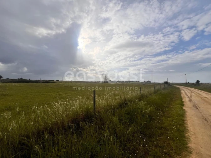 Terreno para Venda em Alpiarça Foto 3