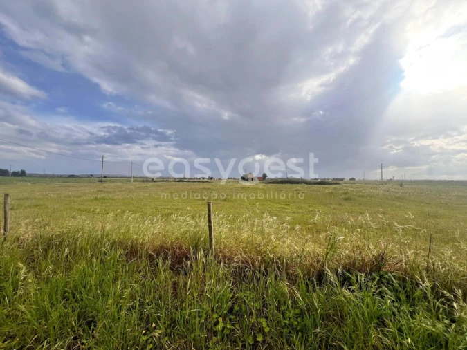 Terreno para Venda em Alpiarça Foto 5