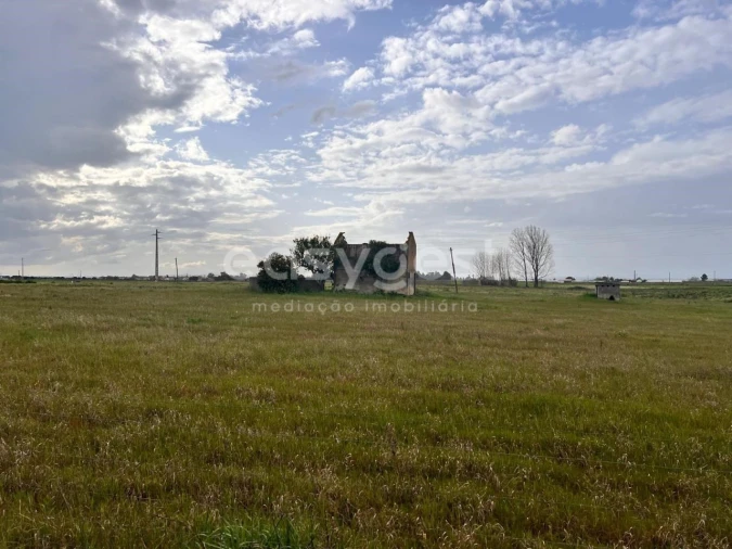 Terreno para Venda em Alpiarça Foto 6