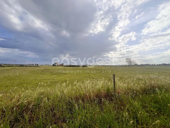 Terreno para Venda em Alpiarça Foto 7