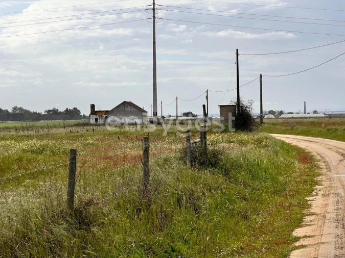 Terreno para Venda em Alpiarça Foto 8