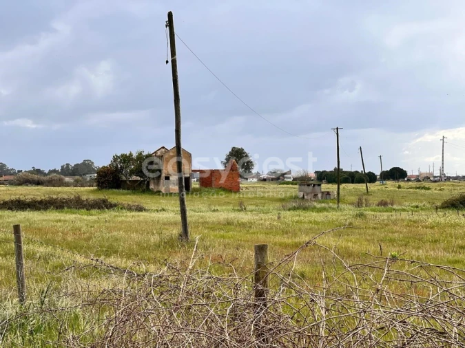 Terreno para Venda em Alpiarça Foto 10