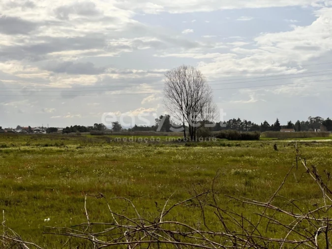 Terreno para Venda em Alpiarça Foto 13