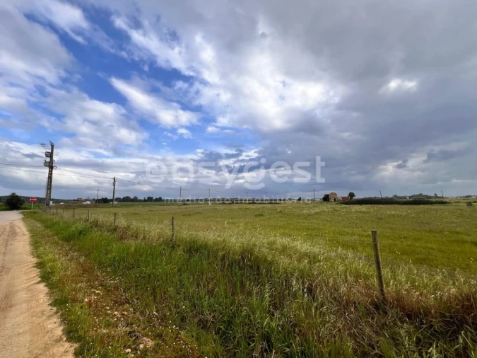 Terreno para Venda em Alpiarça Foto 14