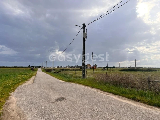 Terreno para Venda em Alpiarça Foto 16
